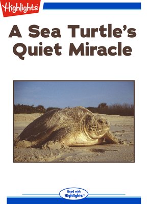 cover image of A Sea Turtle's Quiet Miracle